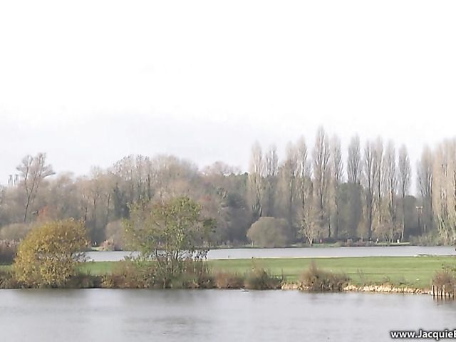 Amateur anal sex with skinny mom Louise