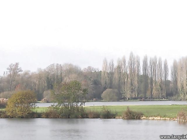 Amateur anal sex with skinny mom Louise