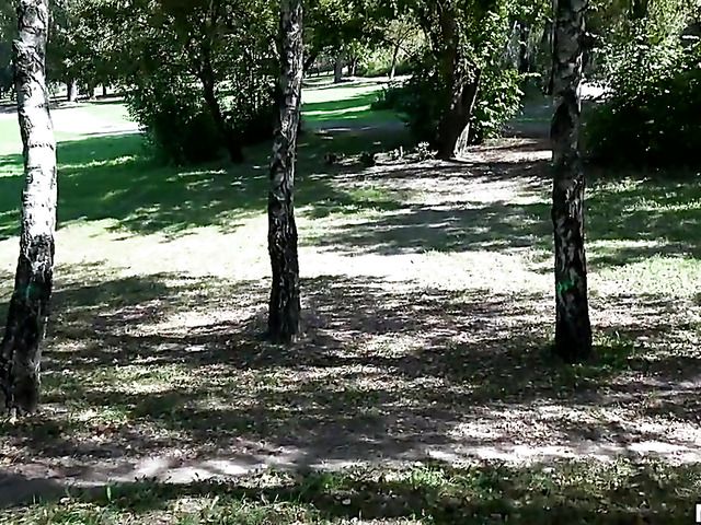 Outdoor fuck for money with skinny euro girl Linda Leclair