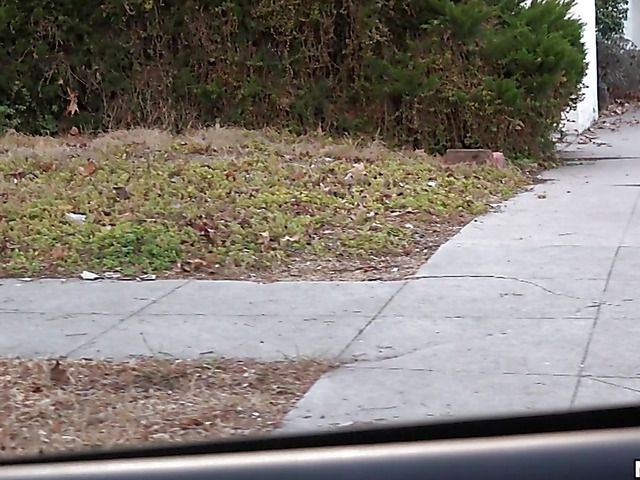 Kristen Scott - Teen hitchhikers sex adventure