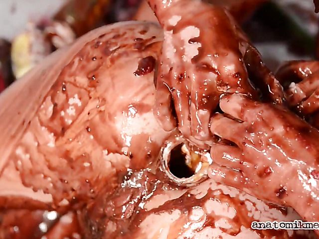 Messy lesbian three-way to blow your mind