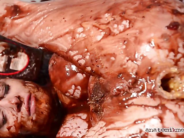 Messy lesbian three-way to blow your mind