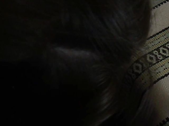 Homemade blowjob on cam by Brianna Xo