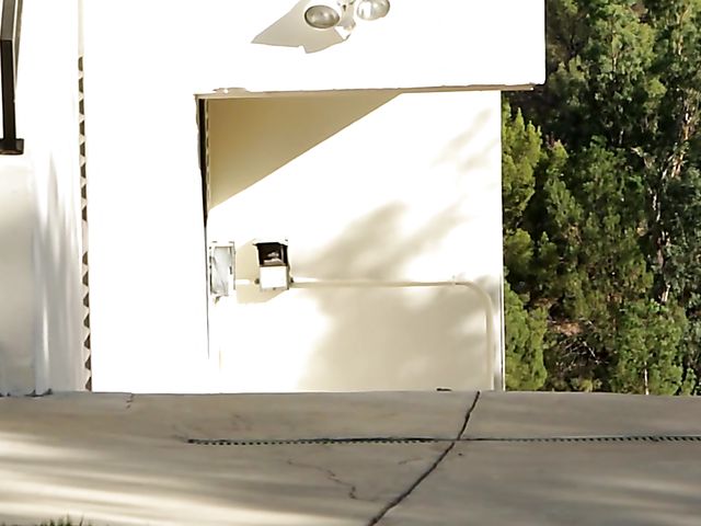 Young skinny Alexa Grace gets her pussy hammered