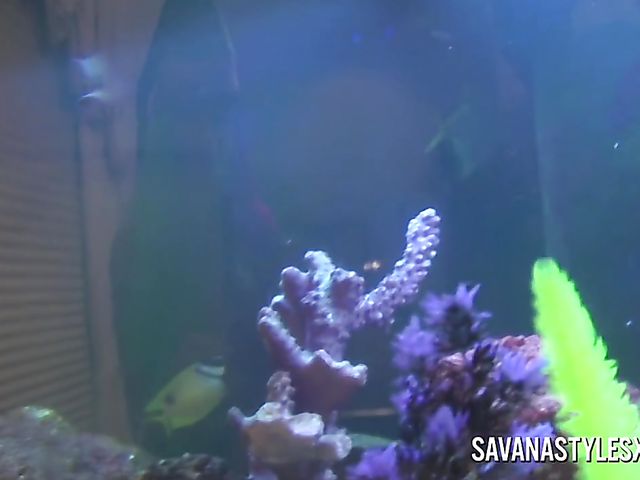 Savana Styles - Solo squirt on Christmas