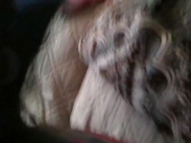 Real amateur with juicy titties fucking in panties