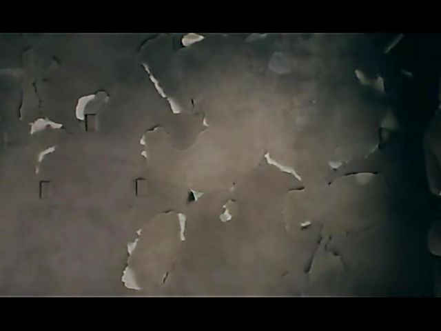 Stunning blonde Shawna Lenee posing and getting tag teamed