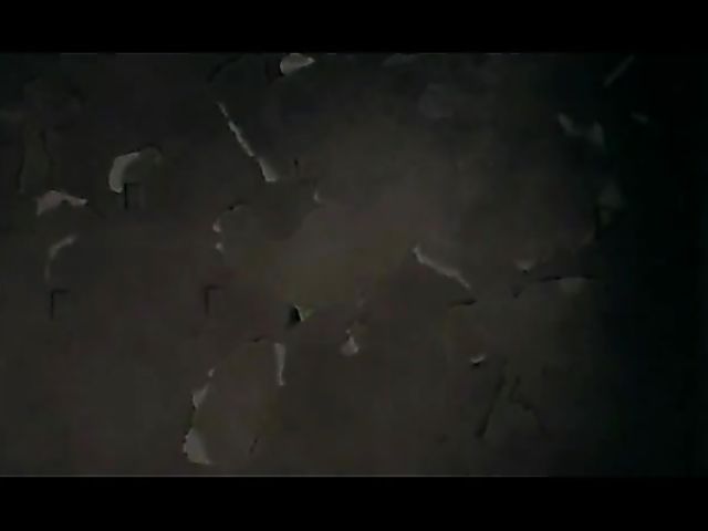 Stunning blonde Shawna Lenee posing and getting tag teamed