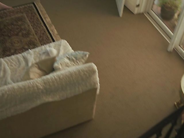 Jessica Rex tied, fucked and blindfolded