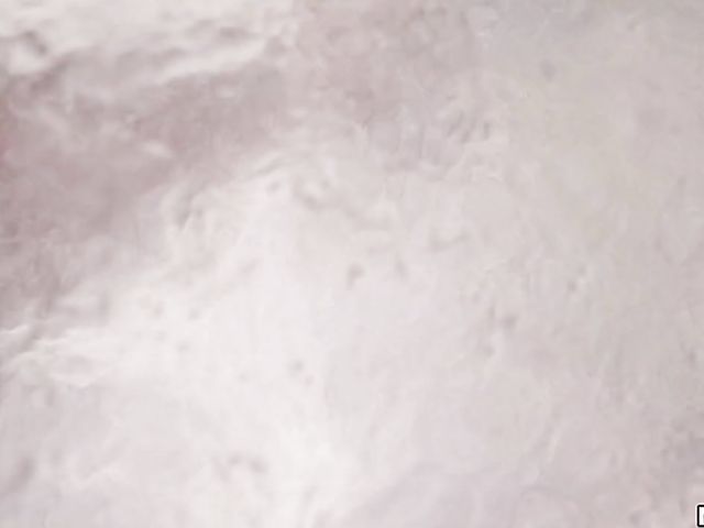 Tiny young girl Kandi Quinn loves it big