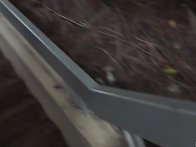 Young latina Ava Alba gets impaled on cock