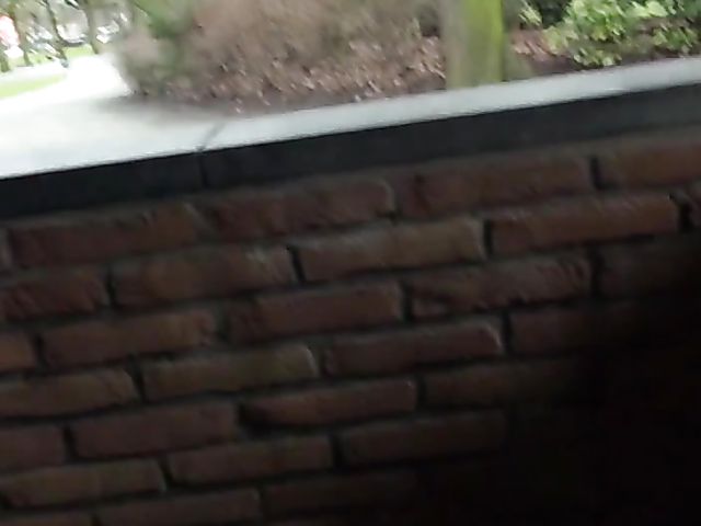 Black MILF doggystyled and anal fingered