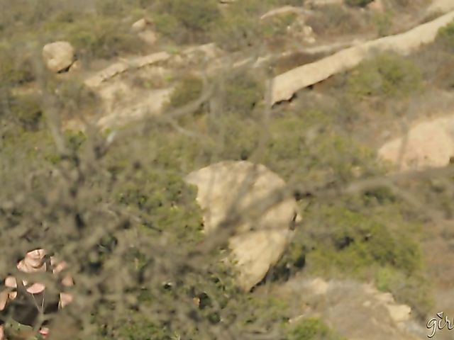 Busty lesbian Alexis Fawx has fun in the army