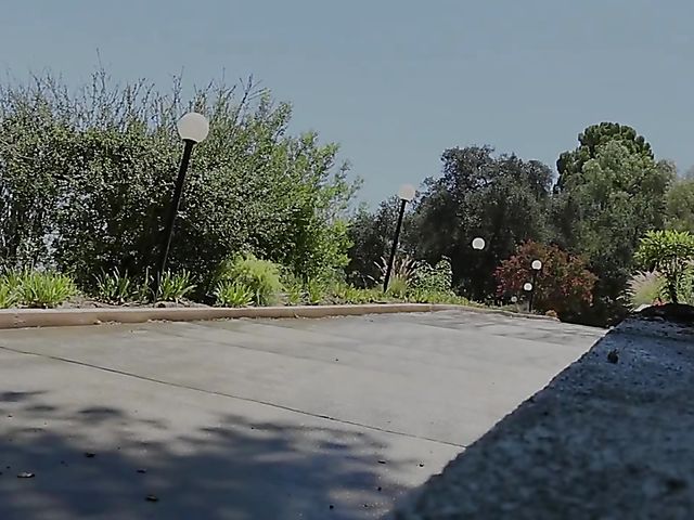 Perfect ass babes getting down and nasty