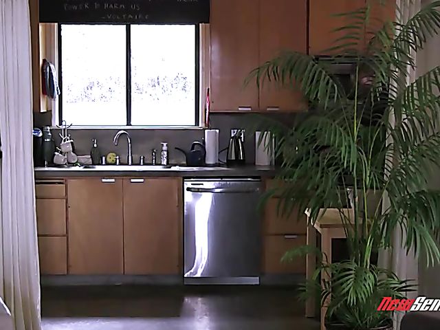 Young brunette Aria Alexander gets pounded after bath