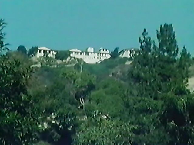 Vintage porn star Honey Wilder gets her bush fucked