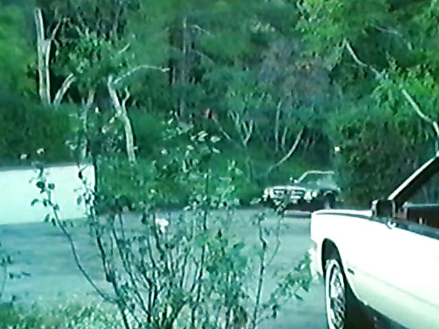 Vintage porn star Honey Wilder gets her bush fucked