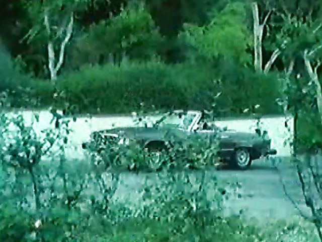 Vintage porn star Honey Wilder gets her bush fucked