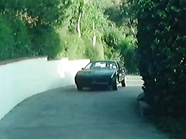 Vintage porn star Honey Wilder gets her bush fucked