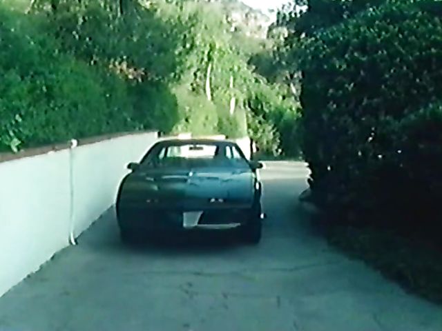 Vintage porn star Honey Wilder gets her bush fucked