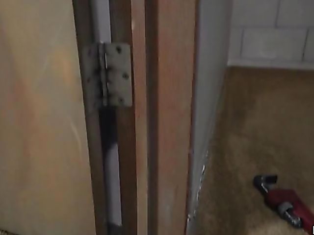 Flirty redhead Zara Ryan amateur sex tape