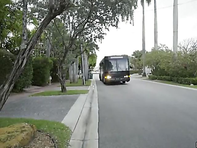 Public fuck party on the bus with teen Arya Fae