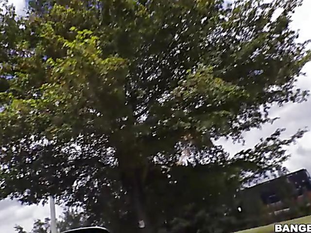 Bang van ride with flat chested teen Riley Star