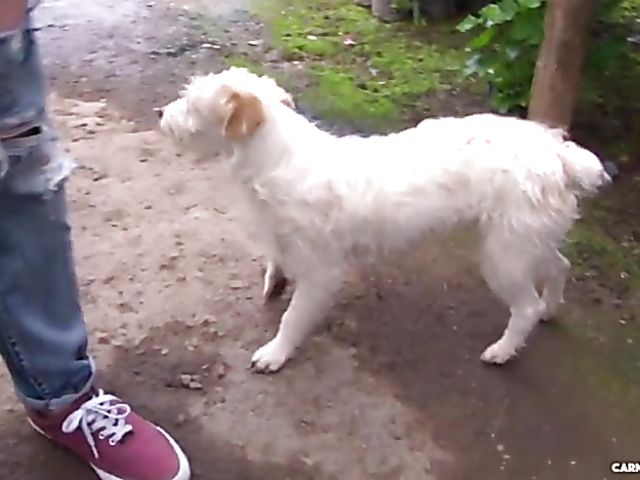 Amateur latina with glasses Clara Lucia gets down and dirty