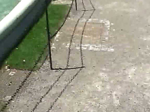 Glamorous blonde walks around outside naked in public