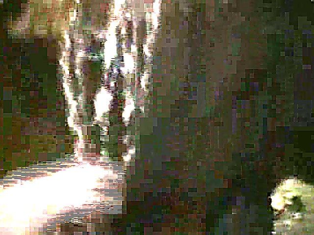 Hot chick enjoys showing off her hairy pussy