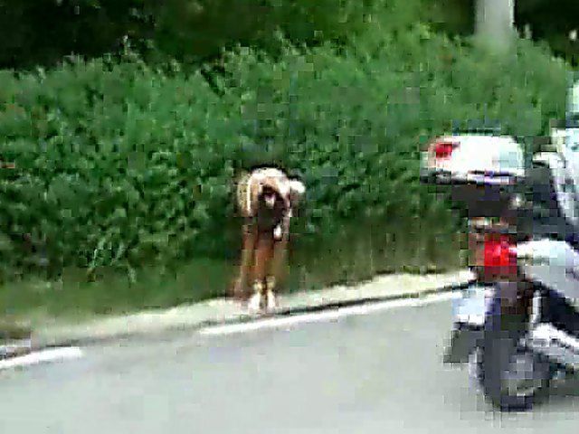 Hot chicks get crazy and naked in public