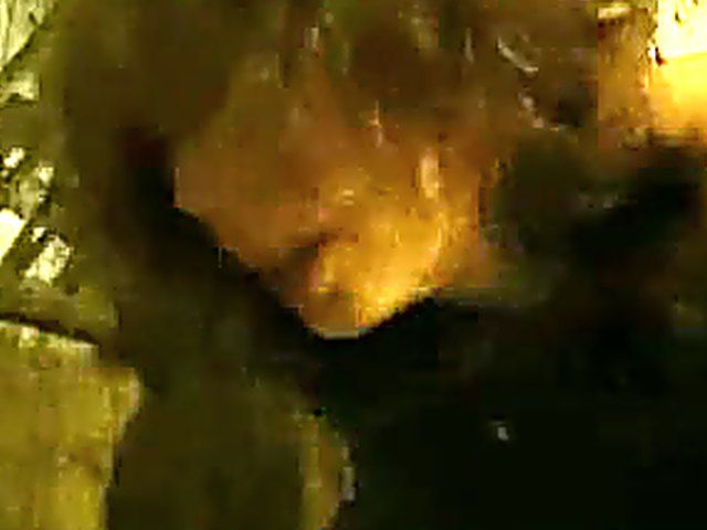 Male and female get fucked by their master