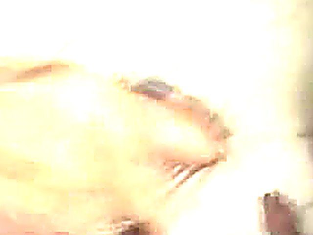 Two sexy blonde sluts fuck two hard dicks