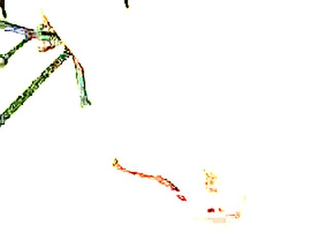 Black and white chicks get a fresh facial