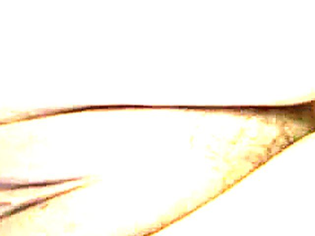 Russian teens fuck for the first time