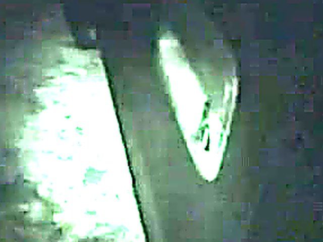 Naughty babes love to fuck in cars