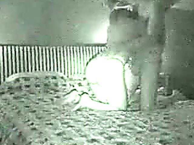 Horny French couple film themselves fucking at night