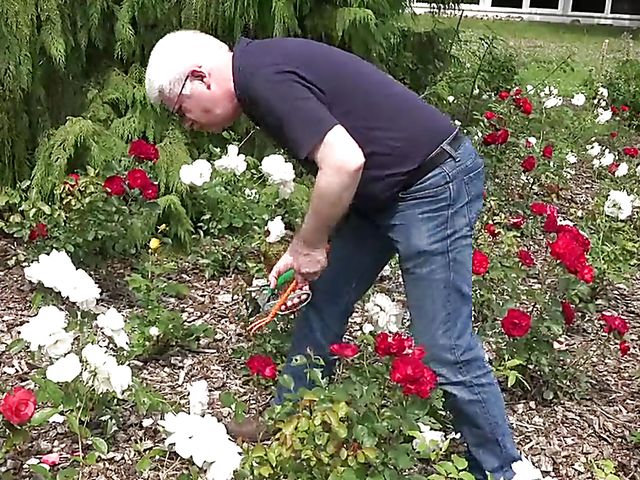 Old and young fuck like there is no tomorrow