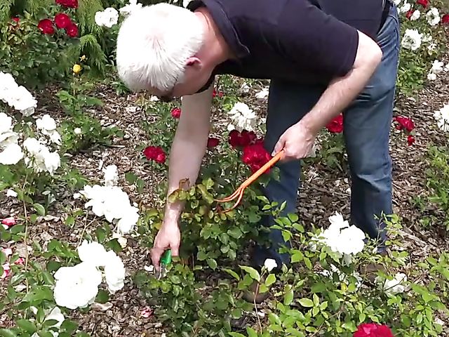 Old and young fuck like there is no tomorrow