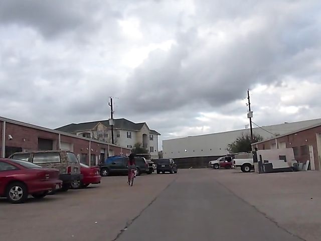 Black big booty whores get pounded