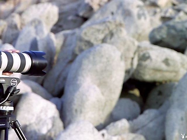 Bikini model Tahlia Paris posing naked on the beach