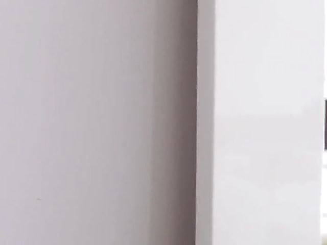 Riley Reid and Lana Rhoades - Teens FFM experiment