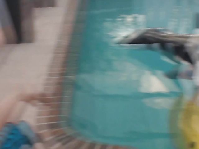 Cute BBW Katie Cummings gets a cock by the pool