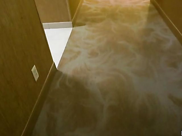 Big cock blowjob and fuck in the hotel with Daisy Stone