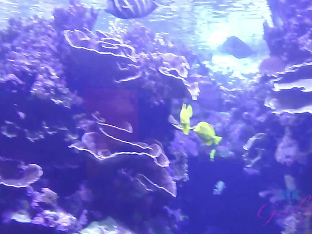 A day with amateur teen Maya Bijou