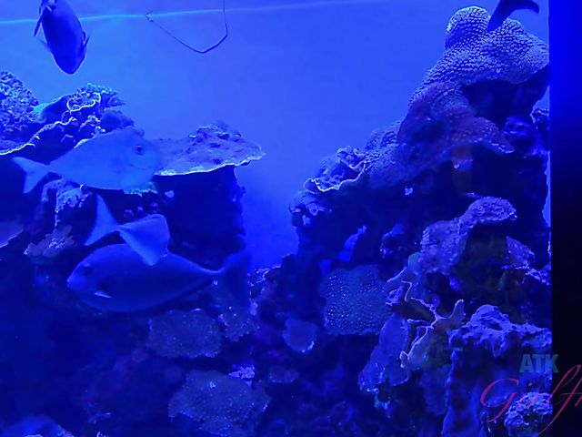 A day with amateur teen Maya Bijou