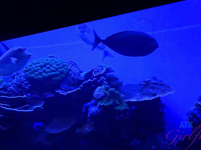 A day with amateur teen Maya Bijou