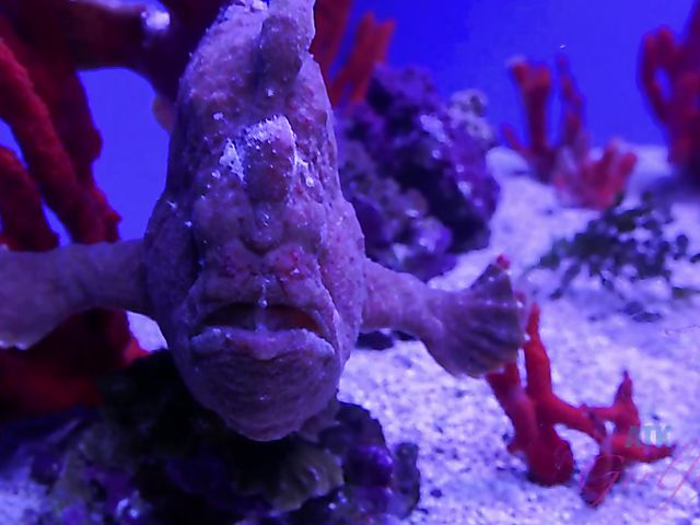 A day with amateur teen Maya Bijou