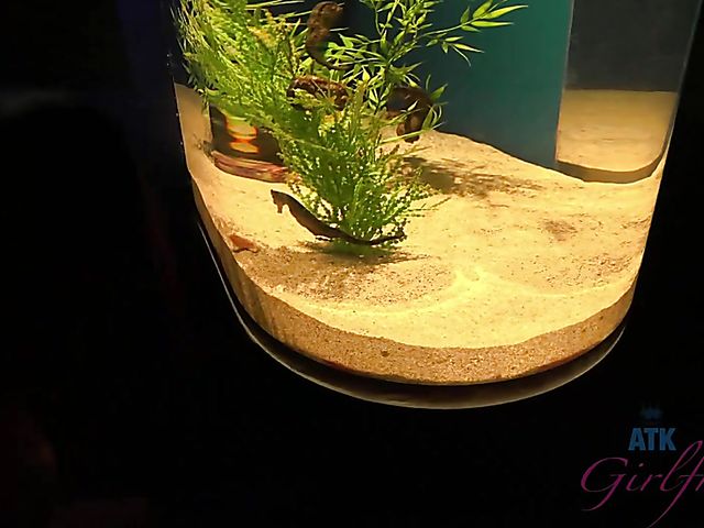 A day with amateur teen Maya Bijou