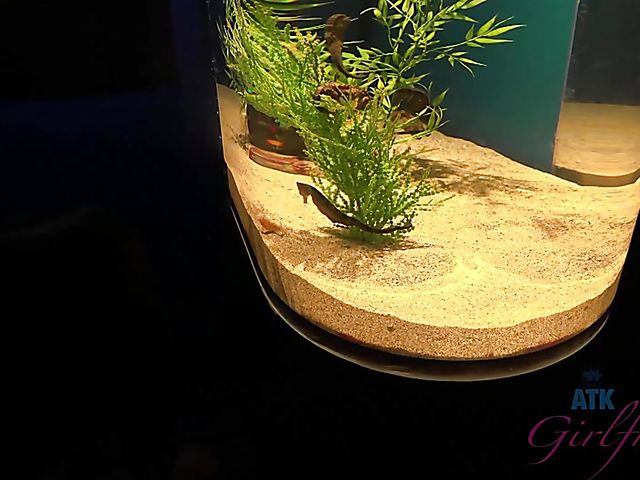 A day with amateur teen Maya Bijou